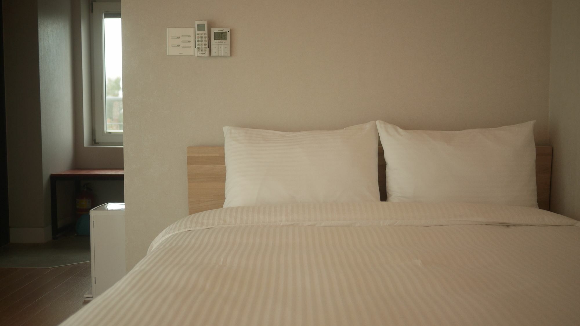 Eridu Cafe N Beds Hotel Seogwipo Eksteriør billede